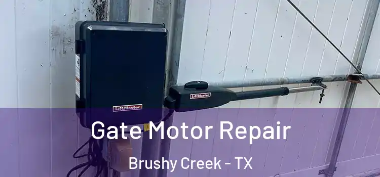 Gate Motor Repair Brushy Creek - TX