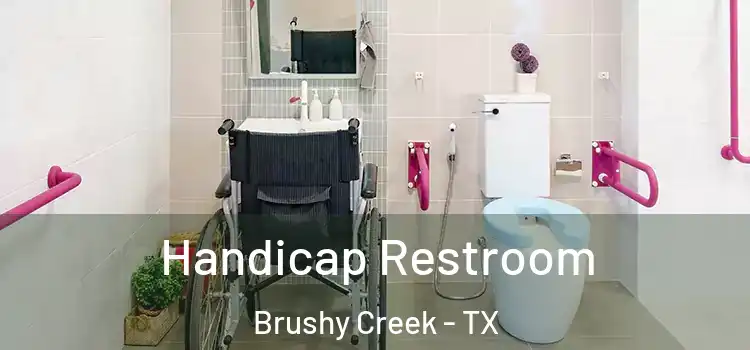 Handicap Restroom Brushy Creek - TX