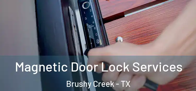 Magnetic Door Lock Services Brushy Creek - TX